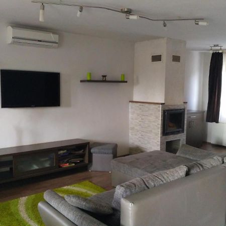 Family Holiday Apartman Mestecǎneşti Exterior foto