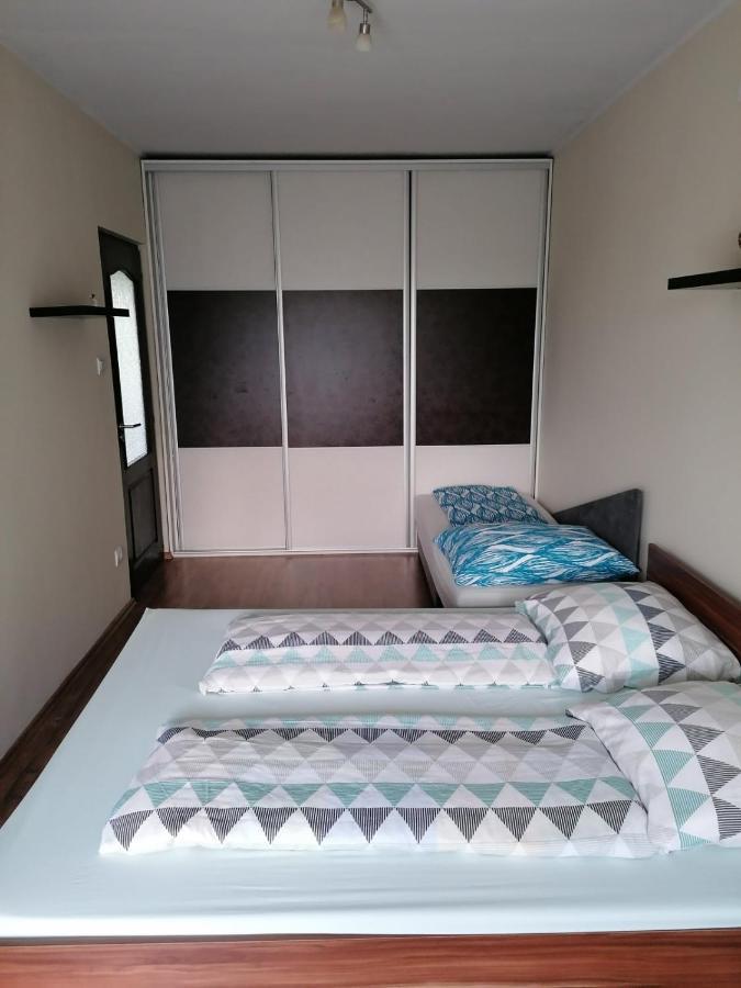 Family Holiday Apartman Mestecǎneşti Exterior foto