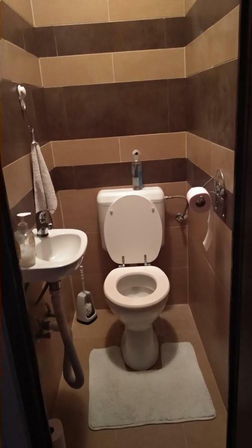 Family Holiday Apartman Mestecǎneşti Exterior foto
